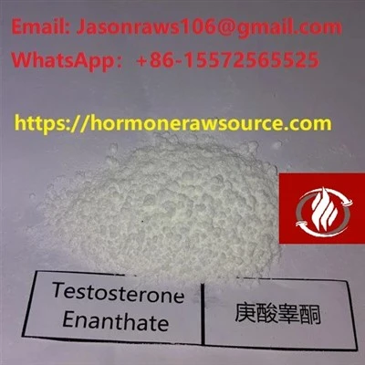 Testosteron Enanthate v prahu za bodybuilding CAS:315-37-7