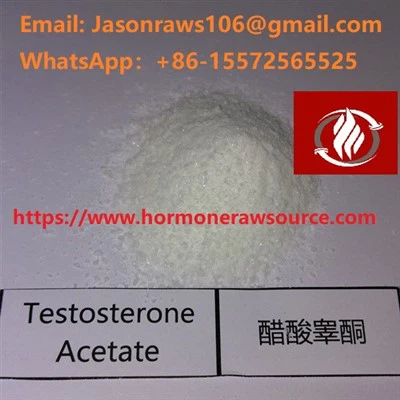 Testosteron acetat v prahu Bodybuilding CAS:1045-69-8